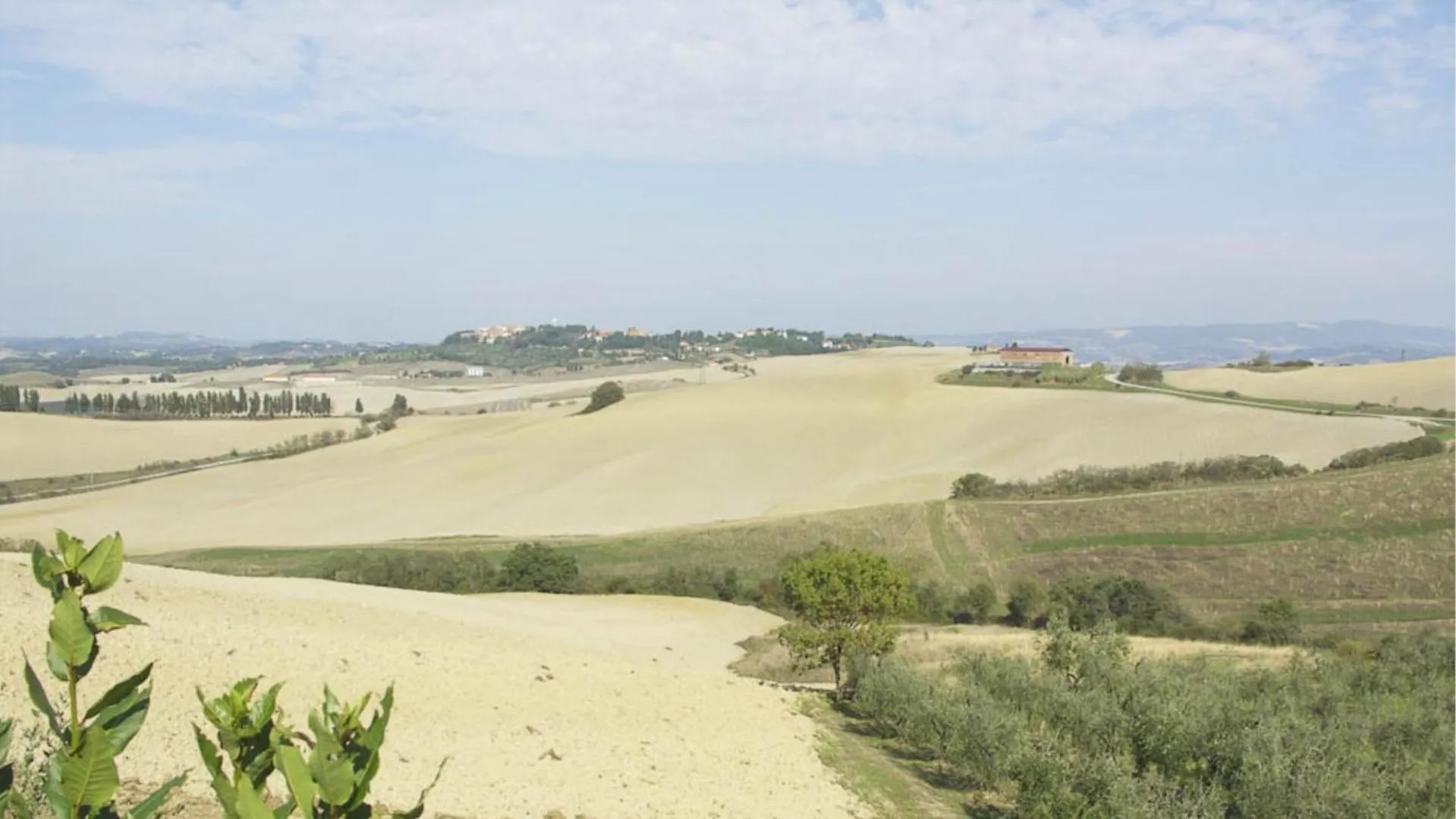 Agriturismo Casale Trieste Lajatico Farma